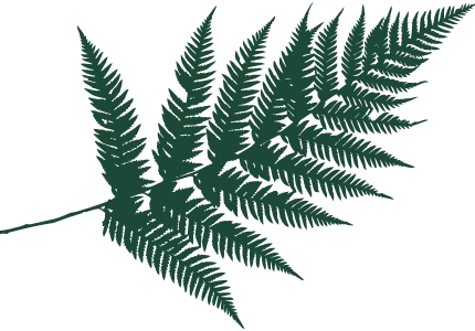 Ayurveda