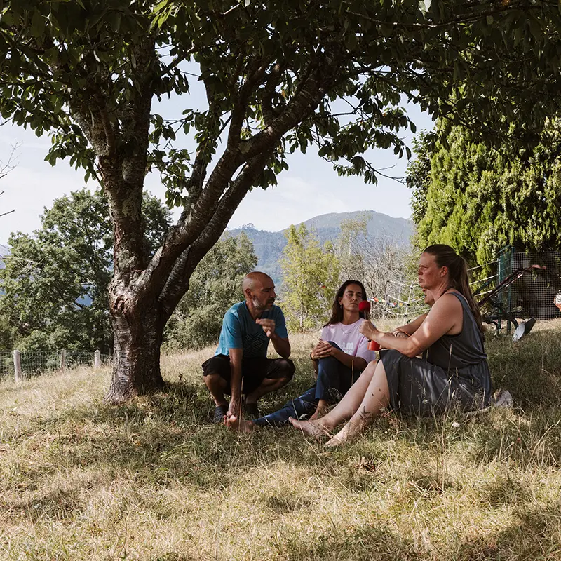 Retiros en la naturaleza con Ayurveda y meditación